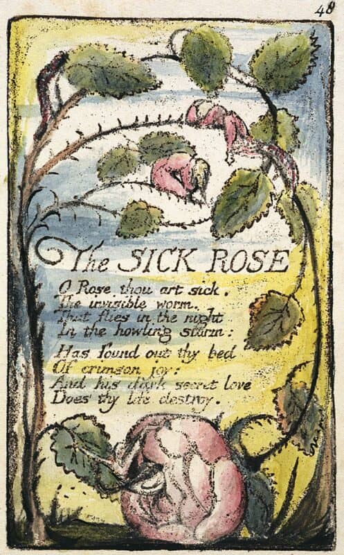 The Sick Rose by William Blake