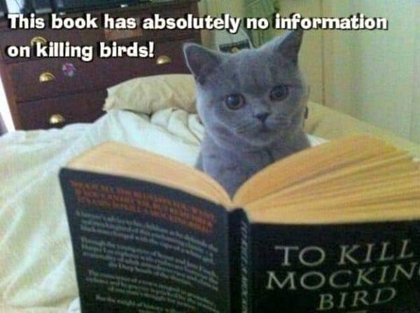 No information on killing birds