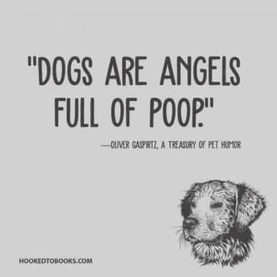 79 Funny Book Quotes For Rolling on the Floor Laughing