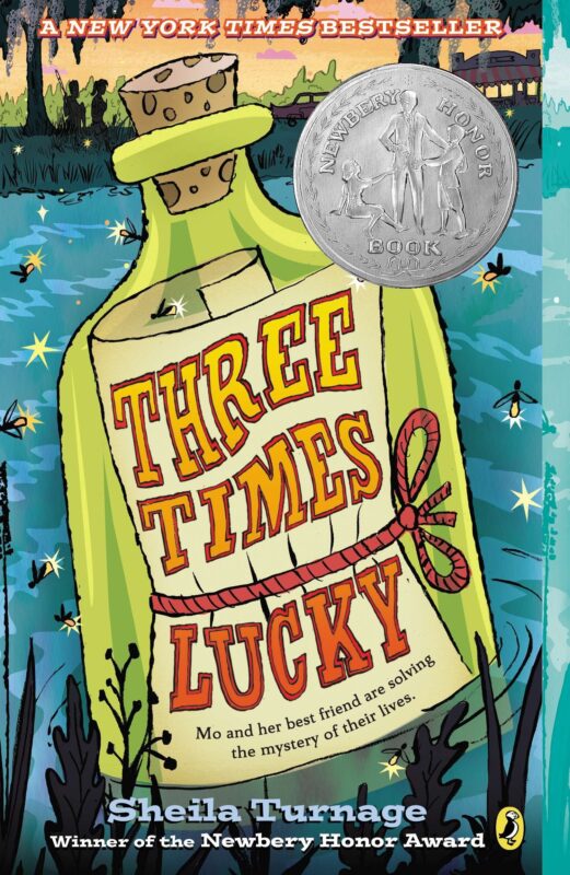 10 Amazing Mystery Books for Kids - Hooked To Books