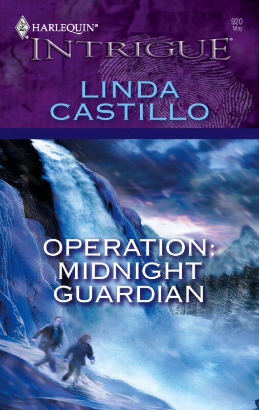 The Complete List of Linda Castillo Books in Order